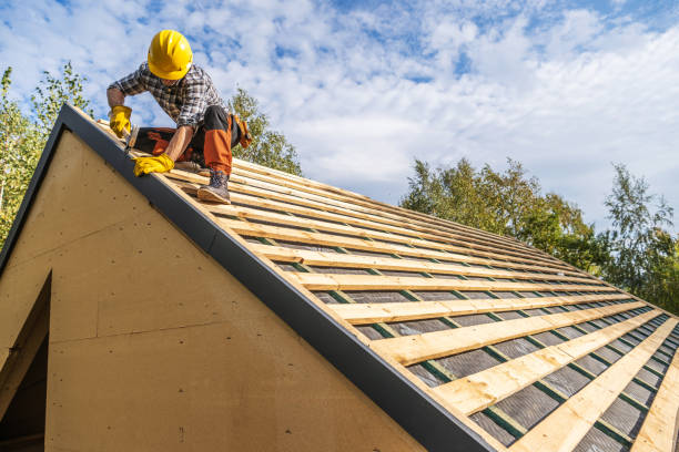 Best Roof Maintenance Services  in Brillion, WI