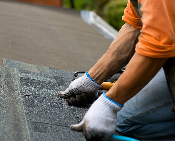Best Roof Maintenance Services  in Brillion, WI
