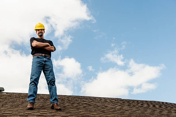 Best Local Roofing Companies  in Brillion, WI